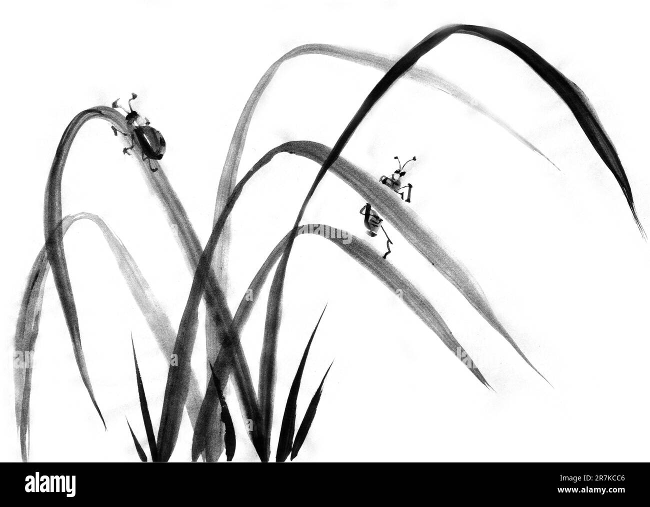 Acquerello d'inchiostro ghepardi di Japanise sull'erba Foto Stock