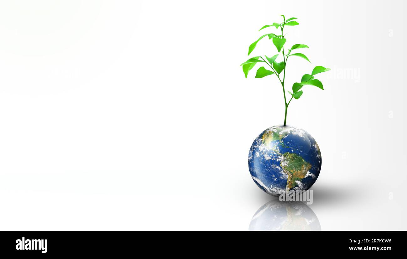 Piante che crescono sulla Terra. Isolato su sfondo bianco. Ecologia mondiale, giornata mondiale dell'ambiente, giornata mondiale della Terra e concetto di ambiente di salvataggio. Pelliccia dell'immagine Foto Stock