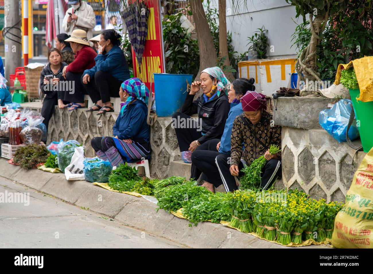 Bac ha, Vietnam-Aprile 2023; Vista di un certo numero di donne da Hmong Fiore e Giay persone sul mercato Domenica Bac ha Foto Stock