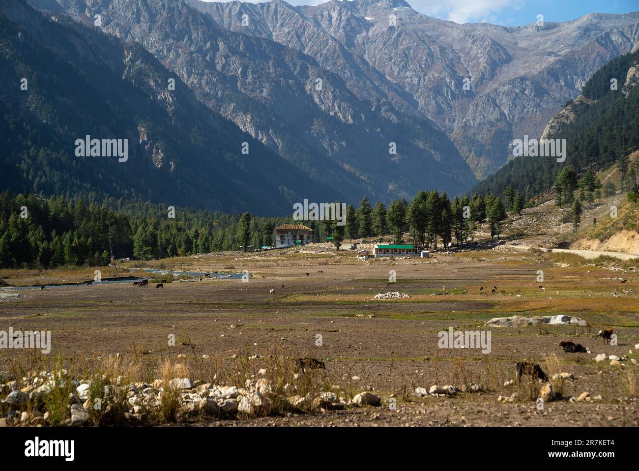 La valle di Kumrat, il fiume Panjkora, che ha origine nelle montagne indù Kush, attraversa la valle di Kumrat, Pakistan. Foto Stock