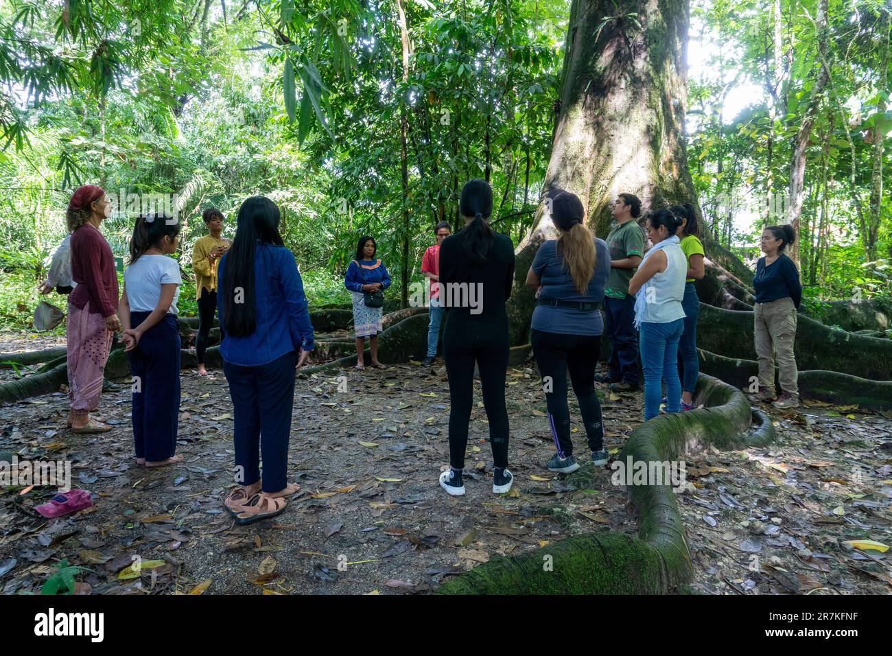 gruppo di persone che praticano il benessere nella foresta amazzonica Foto Stock