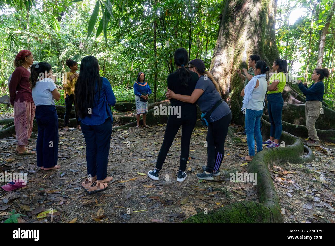 gruppo di persone che praticano il benessere nella foresta amazzonica Foto Stock