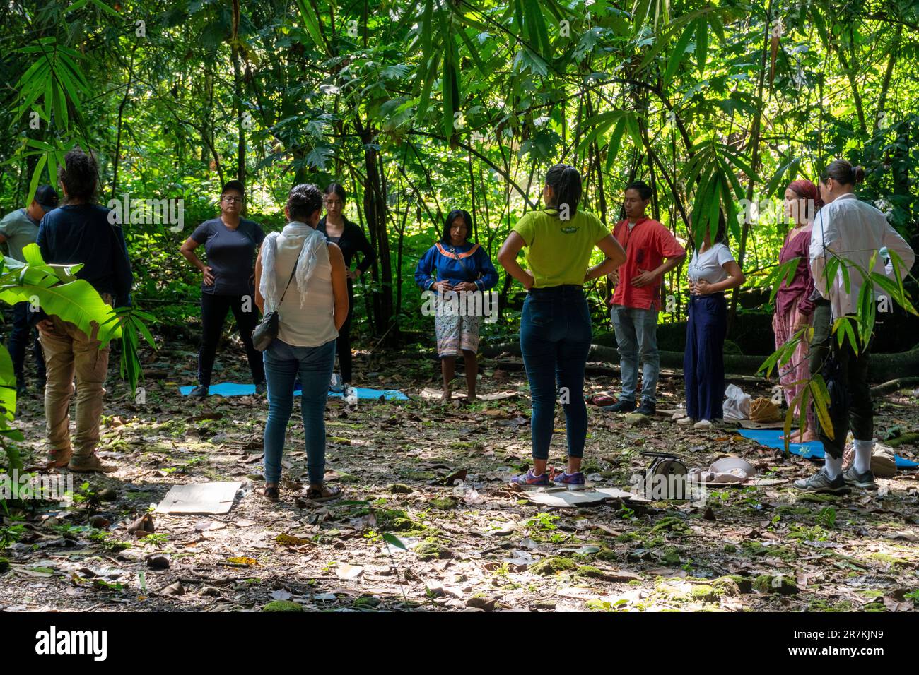gruppo di persone che praticano il benessere nella foresta amazzonica Foto Stock