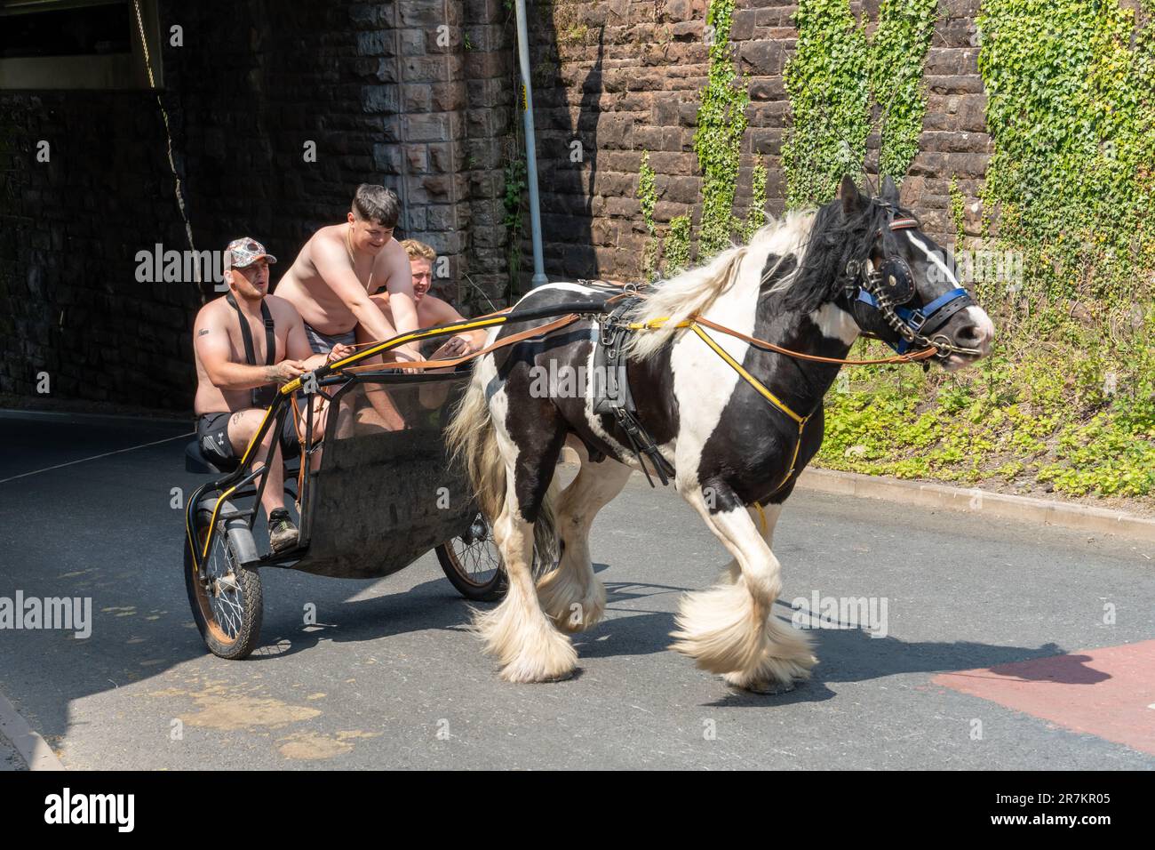 Persone in una carrozza trainata da cavalli all'Appleby Horse Fair, Appleby-in-Westmorland, Regno Unito. Foto Stock