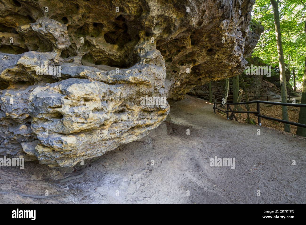 Formazioni rocciose nella Svizzera boema o nella Svizzera ceca (České Švýcarsko), nel Parco Nazionale Foto Stock
