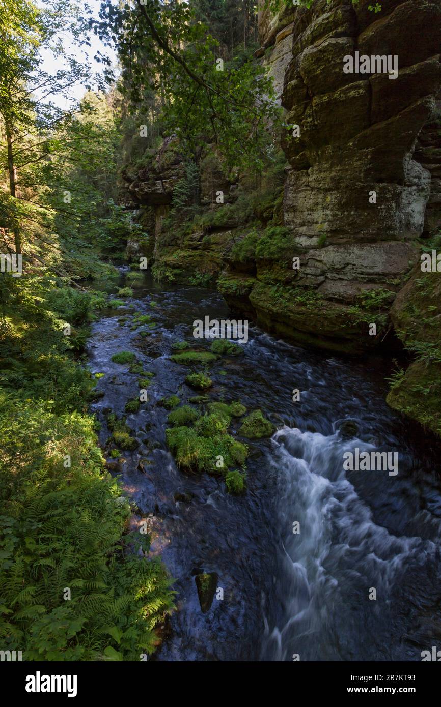 Fiume Kamenice nel Parco Nazionale di České Švýcarsko (Svizzera boema) Foto Stock