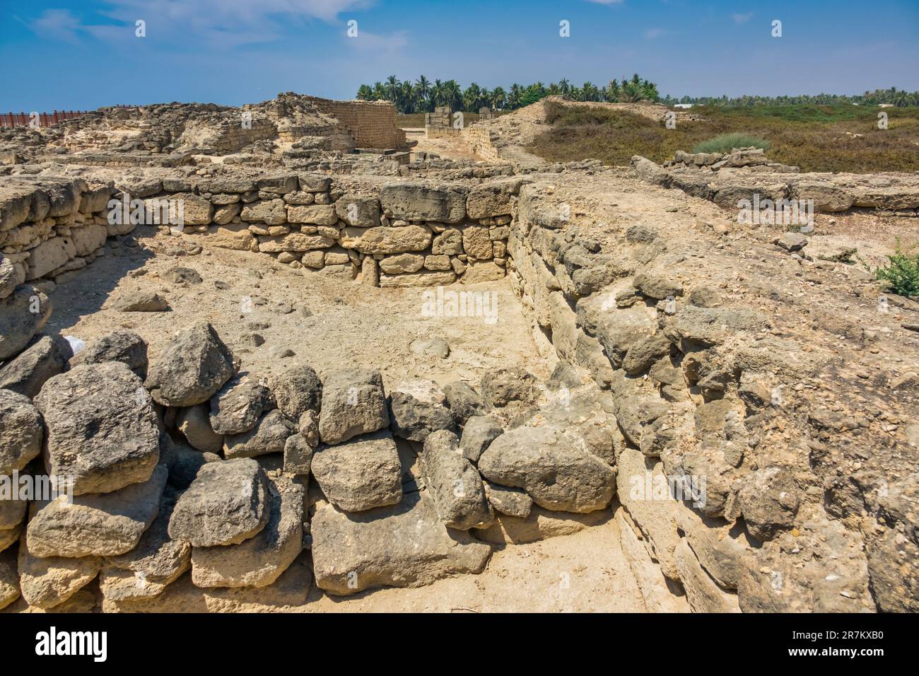 Parco archeologico di al Baleed a Salalah, Governatorato di Dhofar, Oman, parte della Terra di Frankincense, Patrimonio dell'Umanità dell'UNESCO. Foto Stock