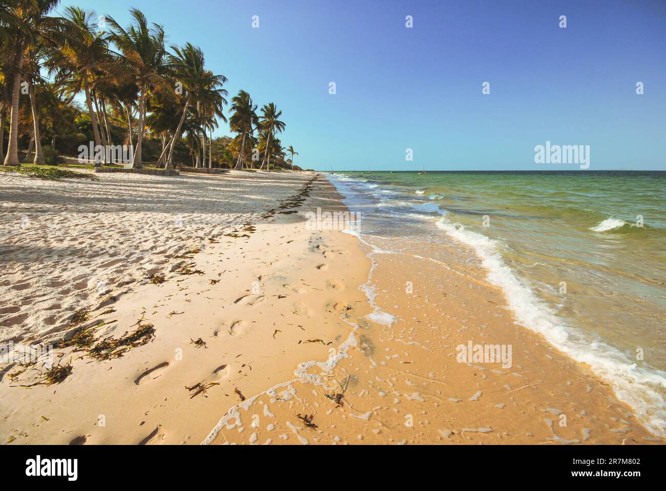 Bellissima spiaggia di Mozambico fiancheggiata da palme. Foto Stock