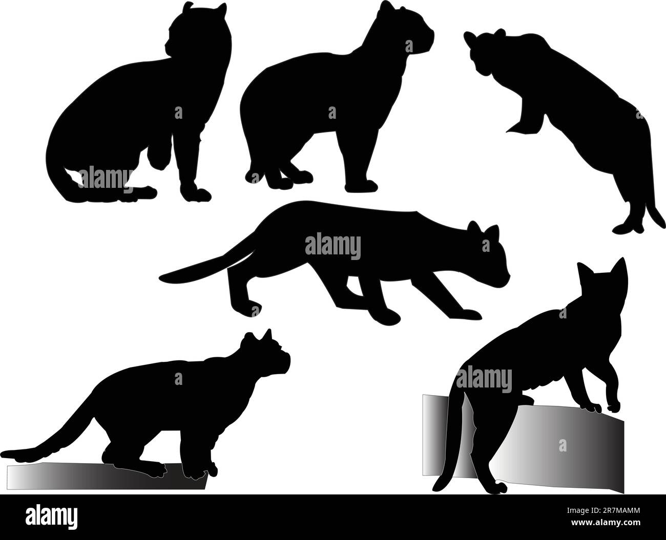 raccolta ocelot - vettore Illustrazione Vettoriale