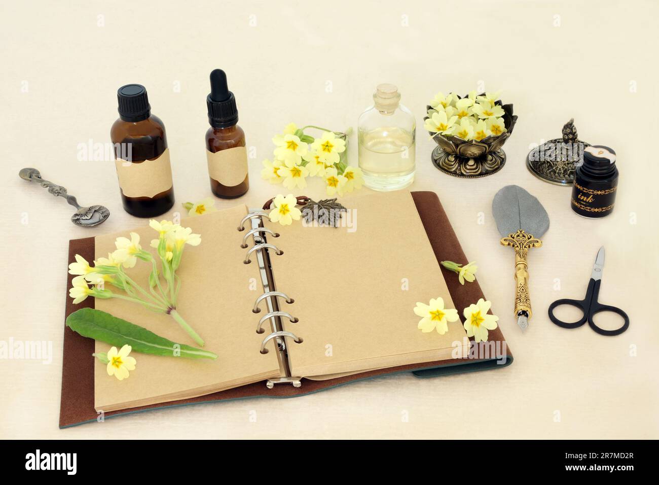 Fiori Primula per rimedi alternativi naturali con taccuino, penna quill e bottiglie di olio essenziale. Concetto di natura floreale per l'essenza dei fiori. Foto Stock