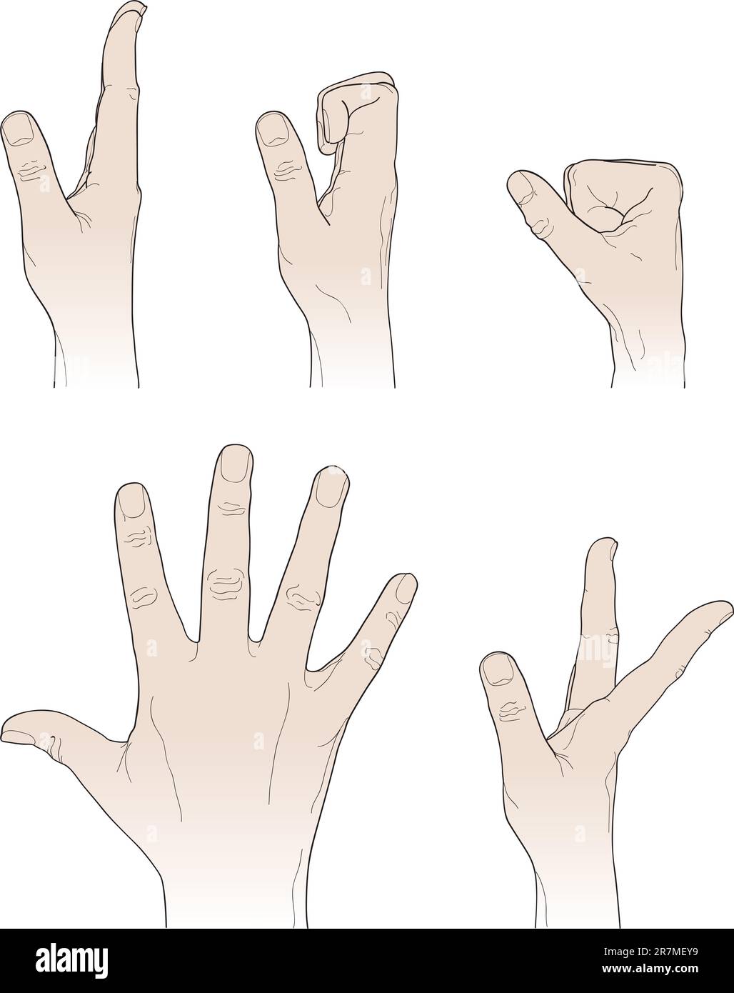 Disegnare le mani su uno sfondo bianco Illustrazione Vettoriale