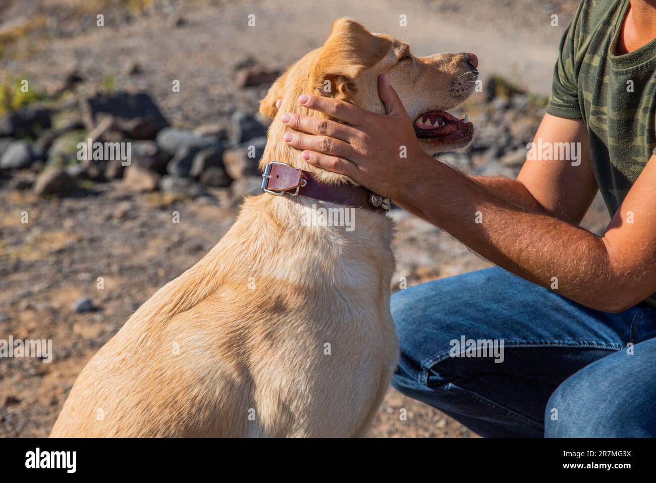 Un addestratore canino dà i suoi cudddles del cane mentre lo addestrano Foto Stock