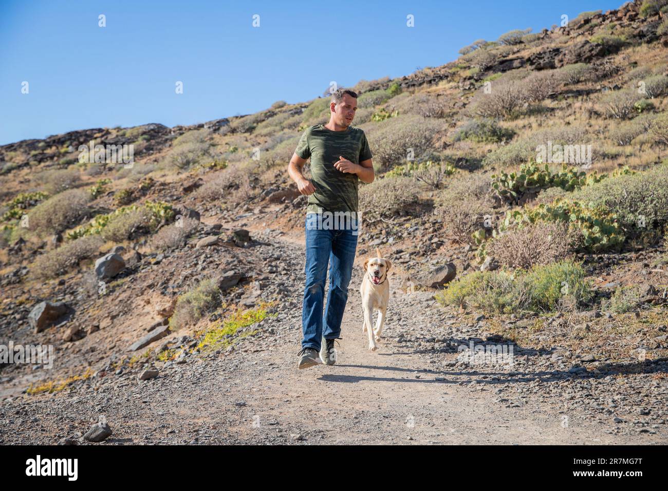 Un cane ed il suo proprietario durante una corsa insieme all'aria aperta, amore fra il cane e l'essere umano Foto Stock