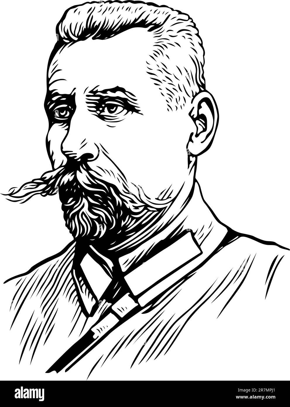 Ritratto su bianco Illustrazione Vettoriale