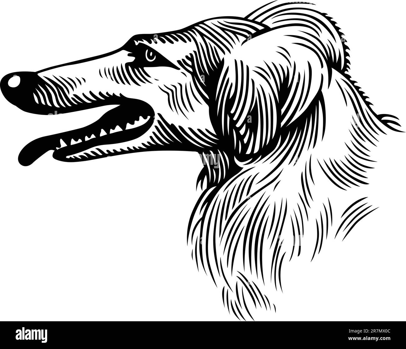 Testa di cane isolata su bianco Illustrazione Vettoriale