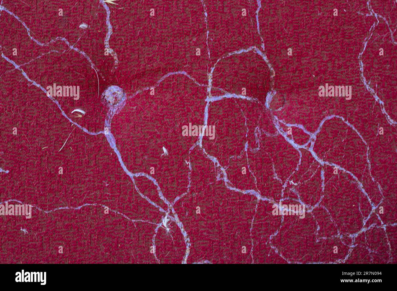 tessuto rosso su un divano con tracce di lumache come sfondo Foto Stock