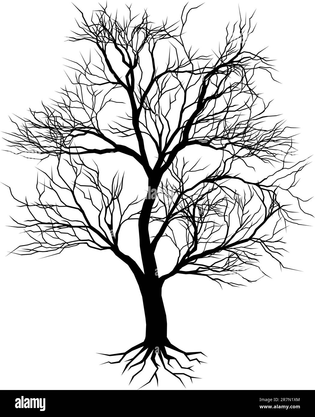 Disegnato a mano vecchio albero silhouette illustrazione Illustrazione Vettoriale