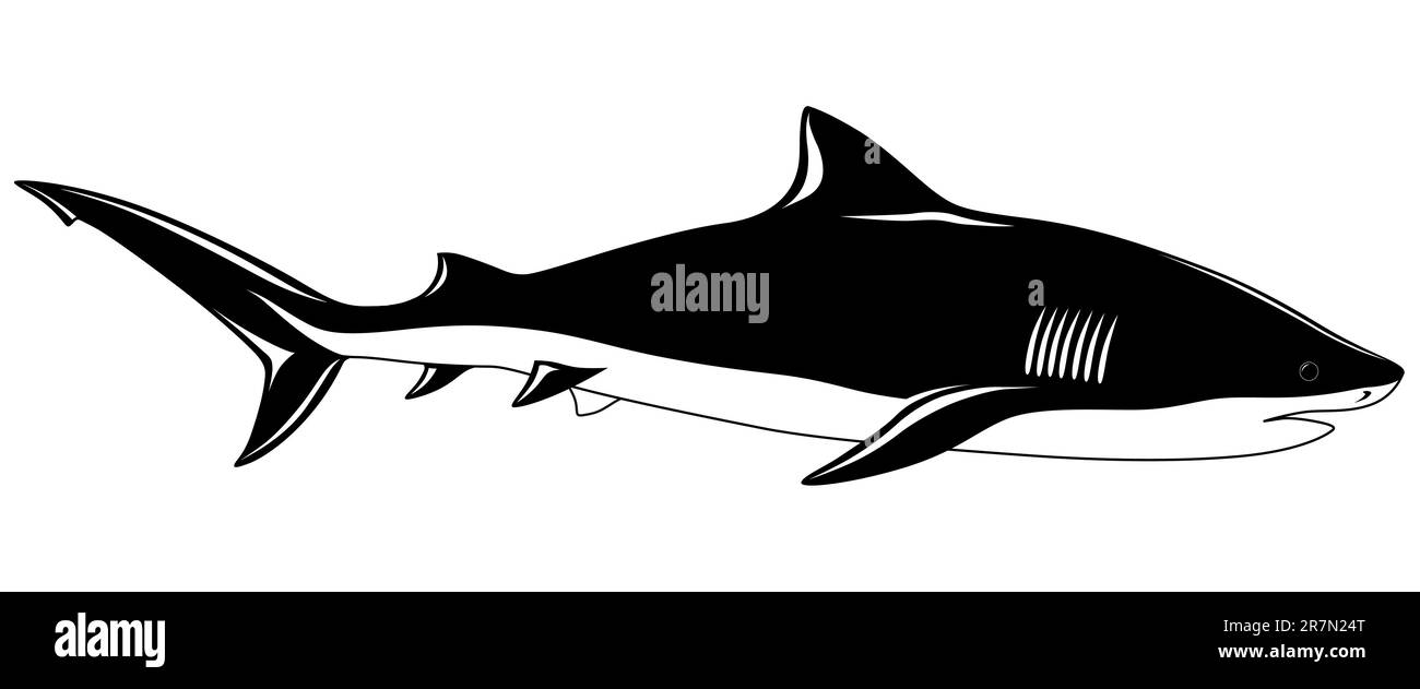 Squalo sotto forma di tatuaggio Illustrazione Vettoriale