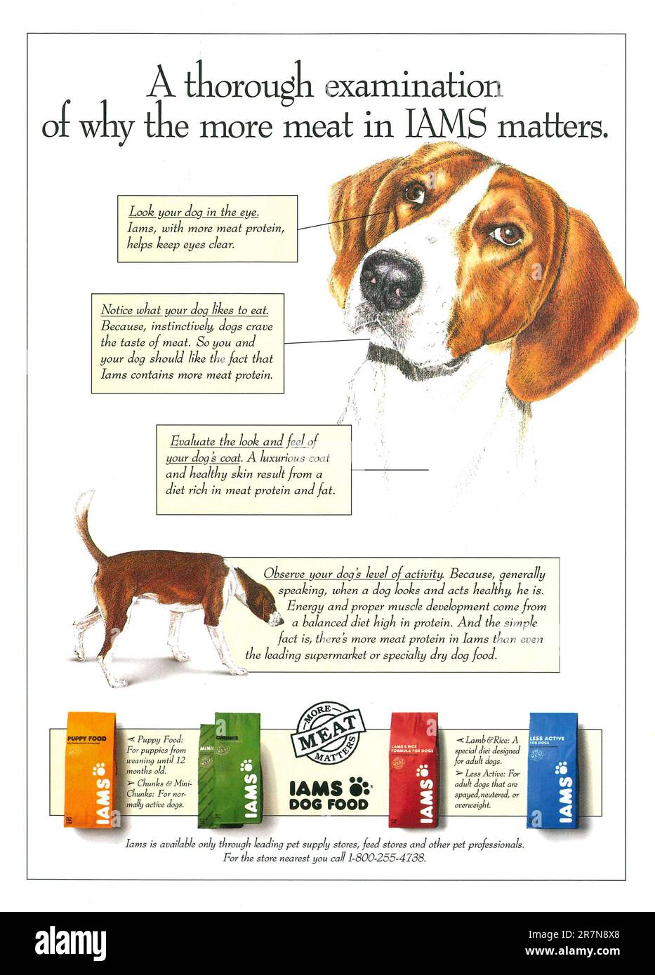 Spot IAMS Dog Food su una rivista 1993 Foto Stock