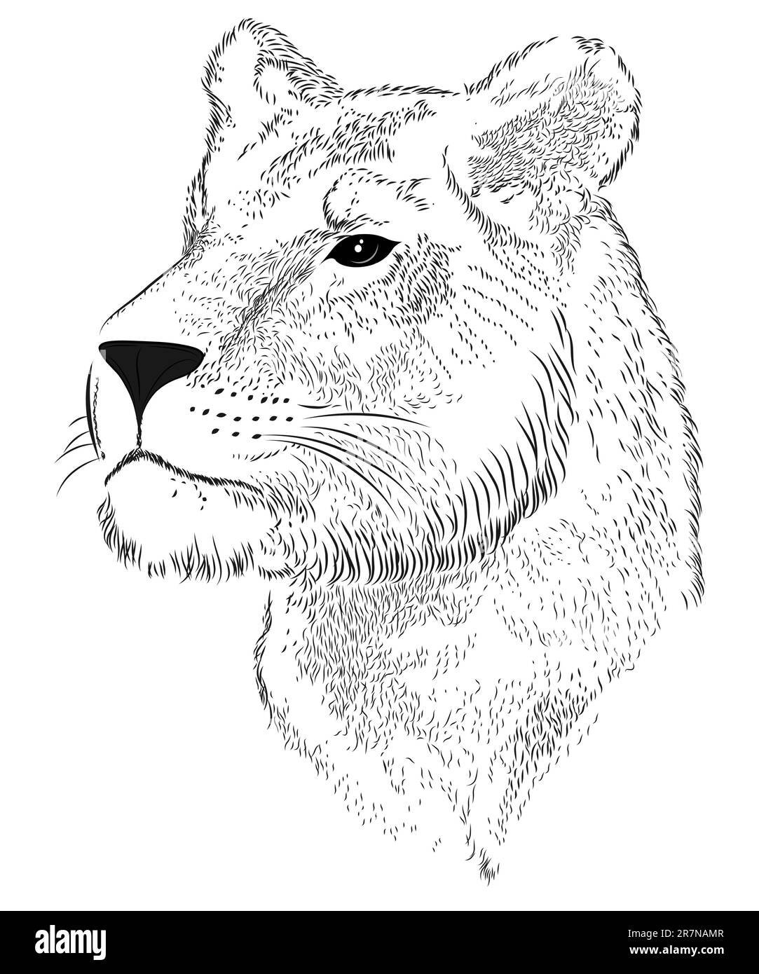Lioness astratta sotto forma di tatuaggio Illustrazione Vettoriale