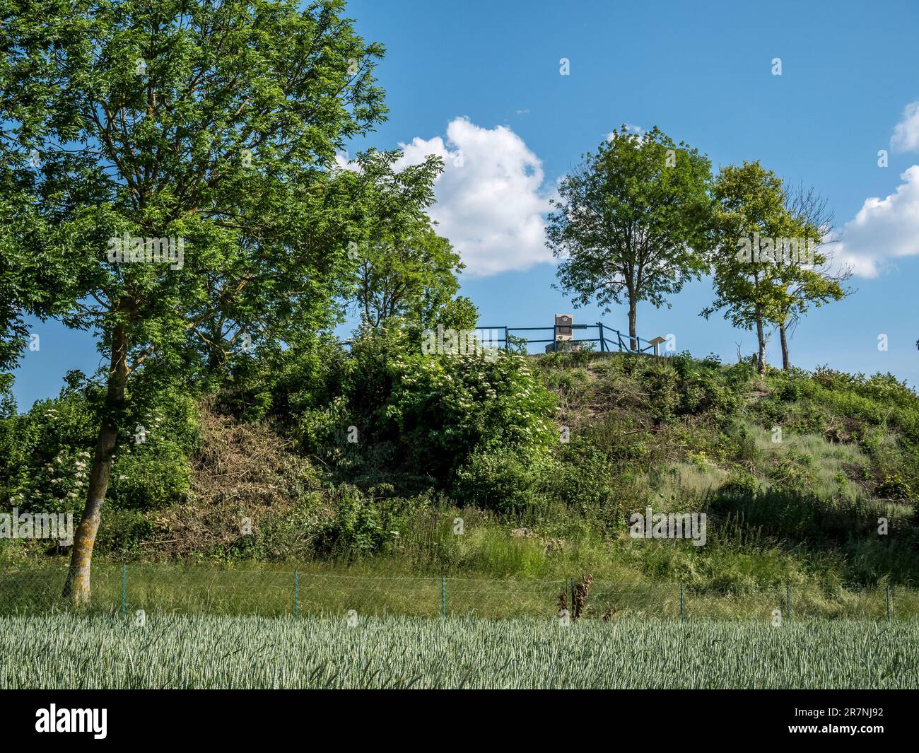 L'immagine è del famoso Butte de Warlencourt, combattuto duramente da inglesi e tedeschi durante la battaglia della somme nella prima guerra mondiale Foto Stock