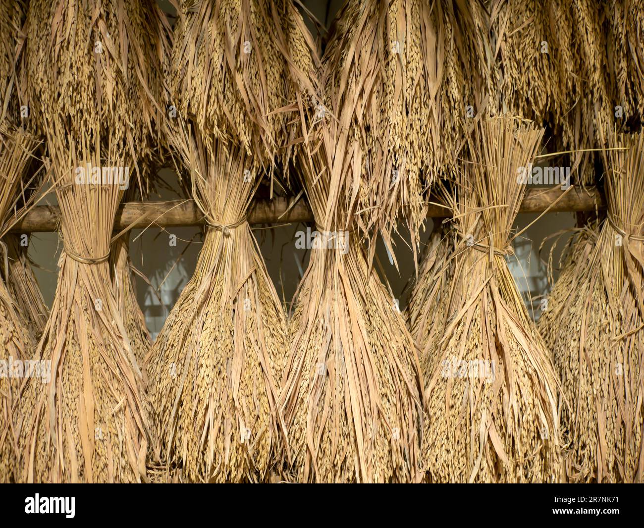 Stoccaggio tradizionale di riso Giavanese, nel Sultan Palace, Yogyakarta, Indonesia Foto Stock