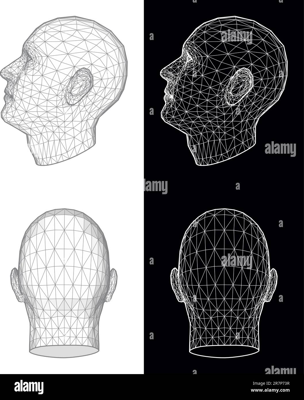 Set di due viste a reticolo di una testa umana ad angolazioni diverse su sfondo bianco e nero. Illustrazione vettoriale Illustrazione Vettoriale