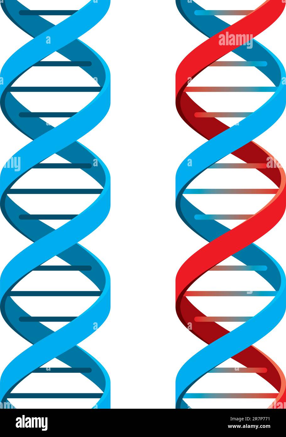 Simbolo DNA senza cuciture su sfondo bianco. Illustrazione vettoriale Illustrazione Vettoriale