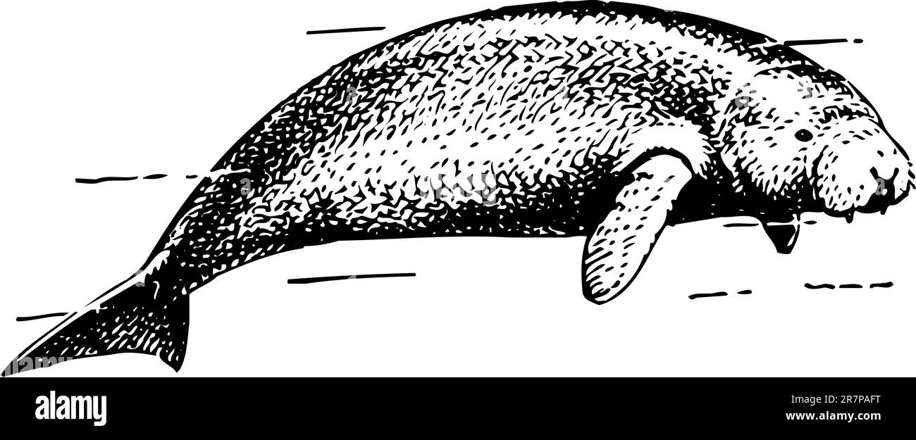 Guarnizione di tenuta in acqua Illustrazione Vettoriale