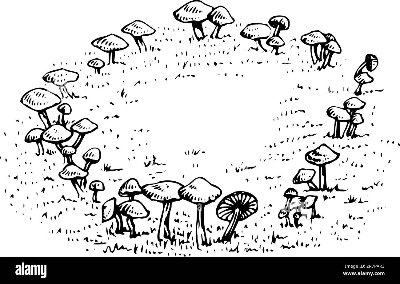 Campo di funghi Illustrazione Vettoriale