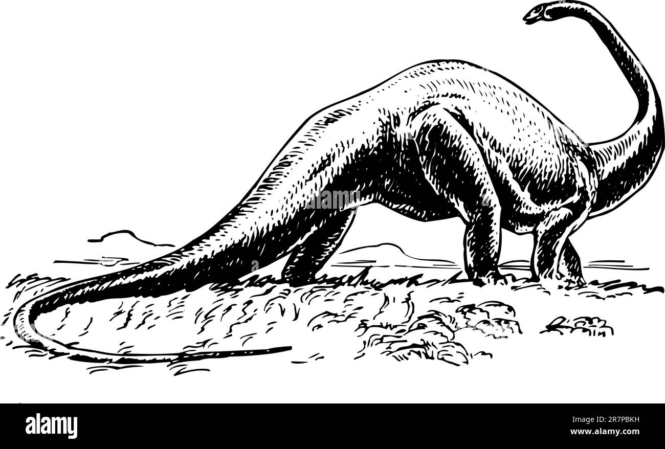 Dinosauro sauropode su bianco Illustrazione Vettoriale