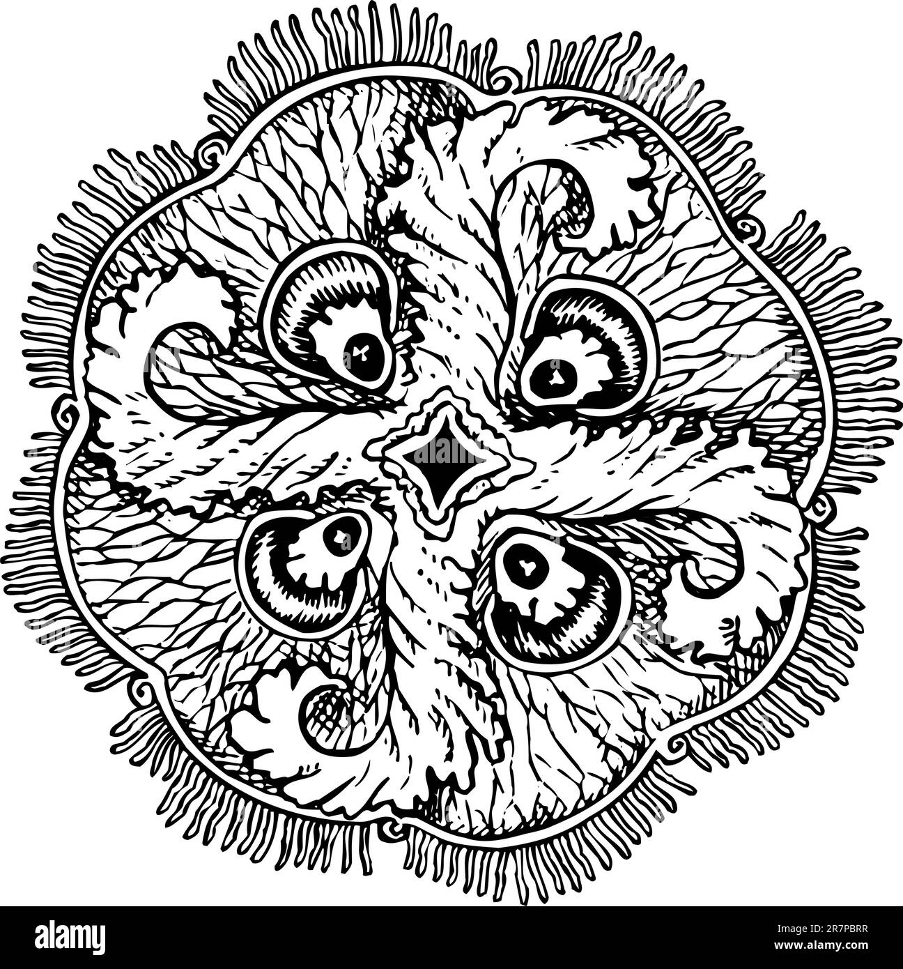 Aurelia insulinda (gelatina) isolata su bianco Illustrazione Vettoriale