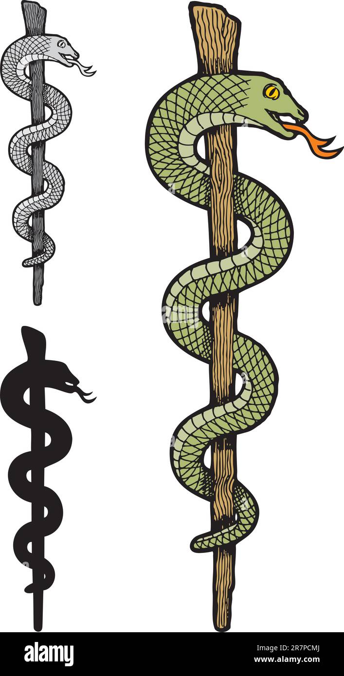 Illustrazione di tre versioni di un caduceo serpente, colorato, sagoma e scala di grigi. Illustrazione Vettoriale