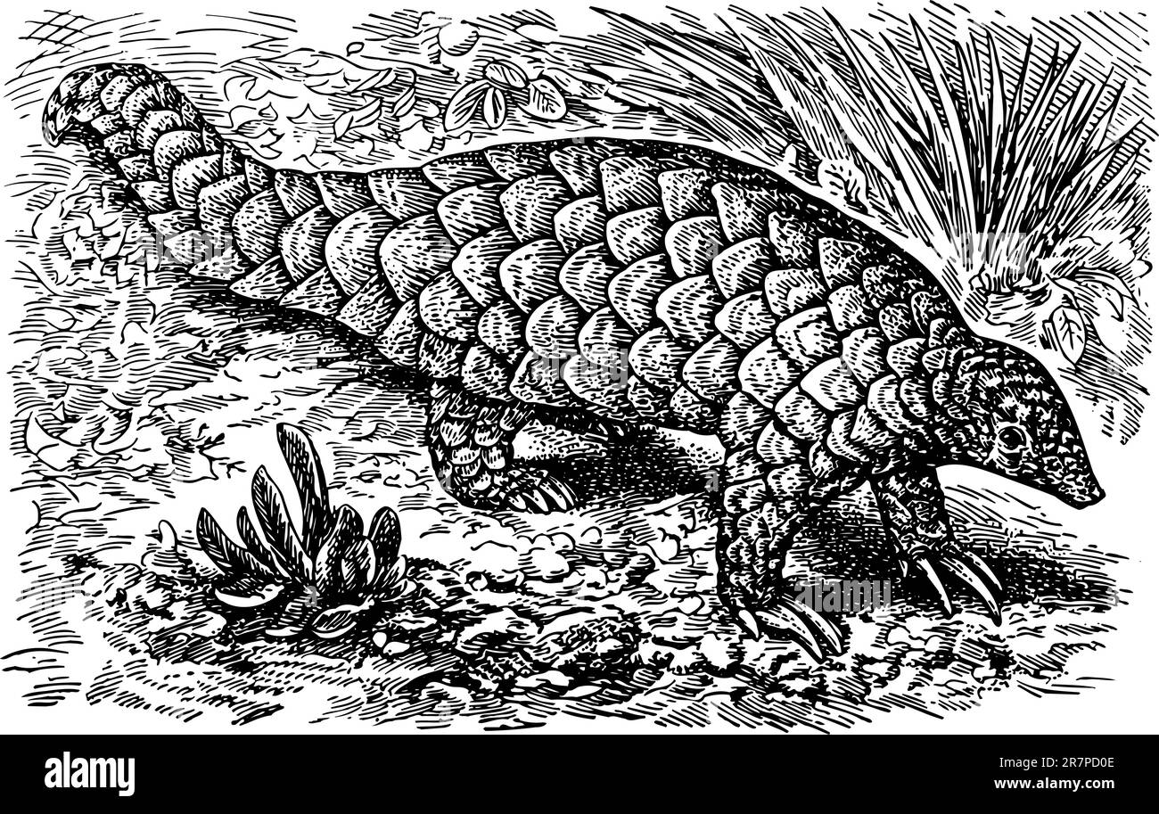 Dinosauro Illustrazione Vettoriale