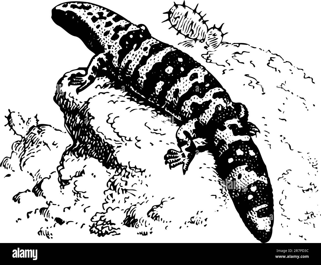 Lucertola al sole Illustrazione Vettoriale