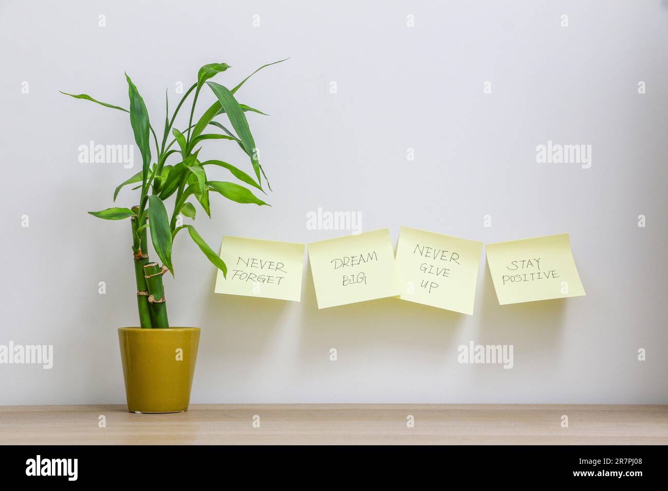 Messaggi motivazionali e ispiratori su quattro appiccicosi gialli sul muro oltre a una fortunata pianta di bambù (dracaena sanderiana), che esprimono a Dream bi Foto Stock