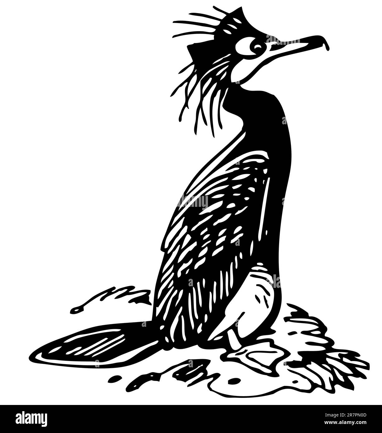 Cormorano isolato Illustrazione Vettoriale