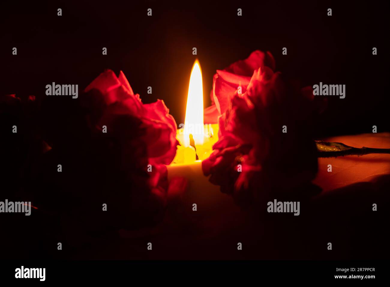 candela fiamma in coppe sulle mani di una vecchia donna con rose al buio, luce di candela Foto Stock