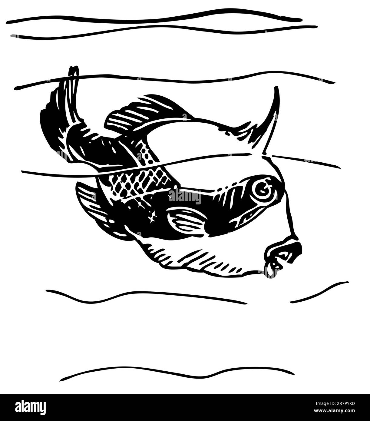 pesce triggerfish grigio nell'acqua Illustrazione Vettoriale