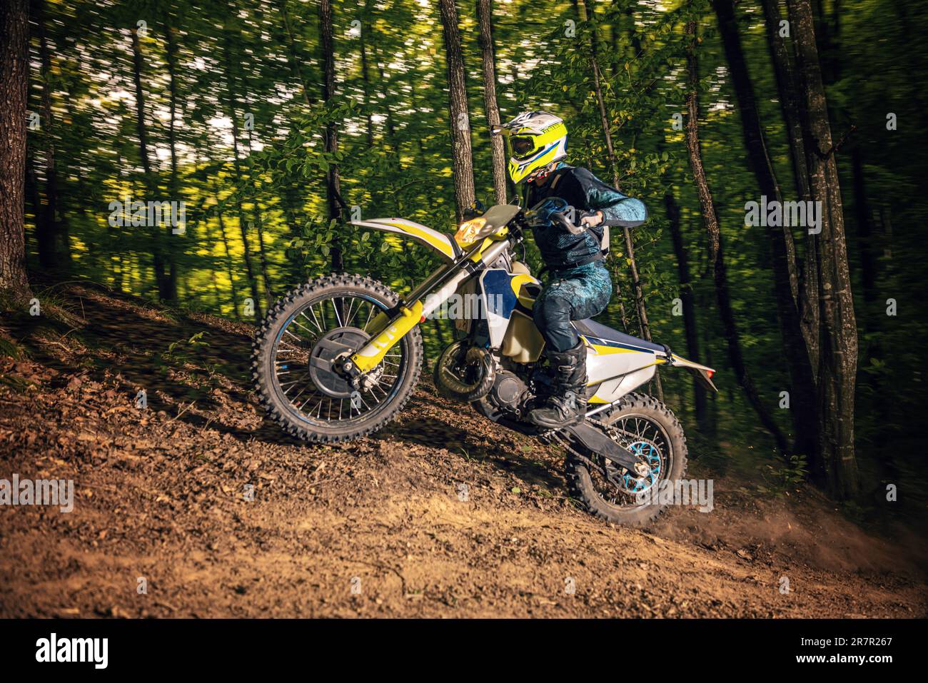 Treni motociclisti nella foresta. Escursioni attraverso la foresta Foto Stock