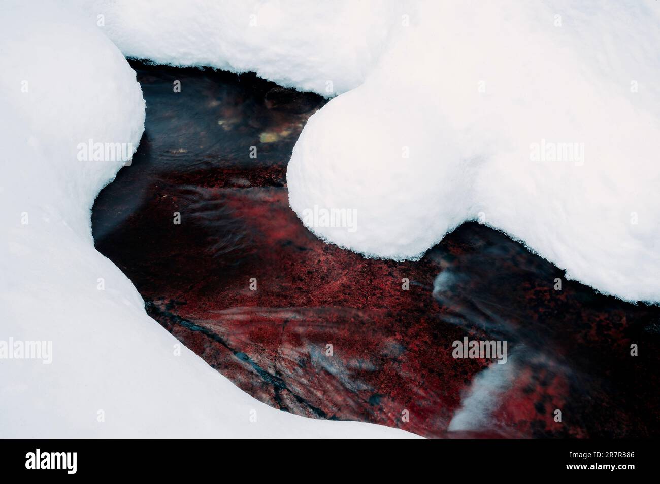 Texture invernali, una bellezza raramente vista Foto Stock