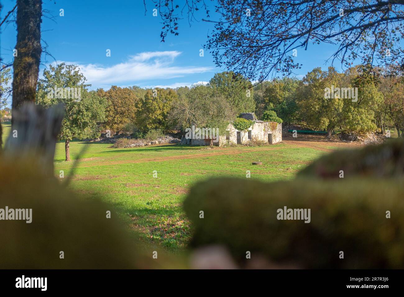 Un fienile derelitto coperto di edera nel sud-ovest della Francia, preso lungo il sentiero Camino de Santiago in una giornata di sole autunnali senza persone Foto Stock