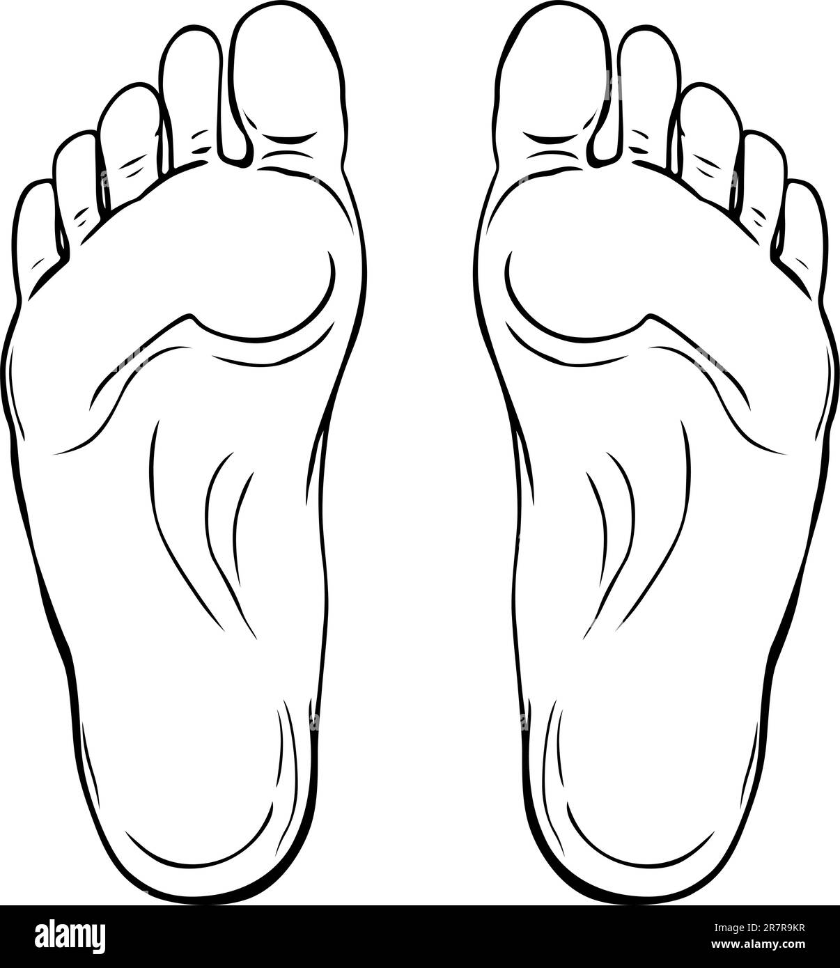 Suole umane isolate su sfondo bianco Illustrazione Vettoriale