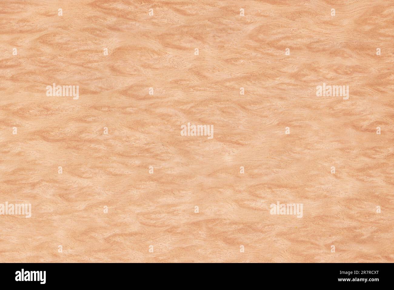 Impiallacciatura di legno marrone chiaro. Inteso come sfondo con texture in legno. Foto Stock