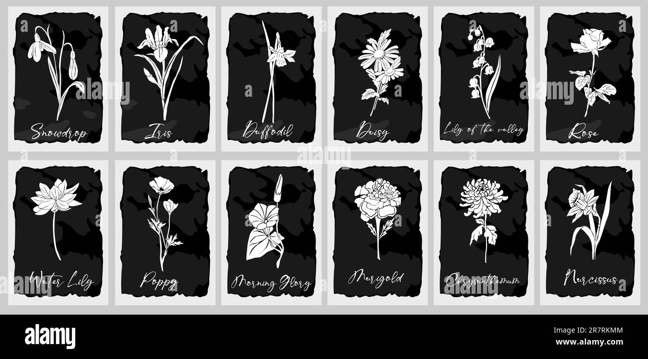 Botanical set di nascita mese fiori vettore arte Illustrazione Vettoriale