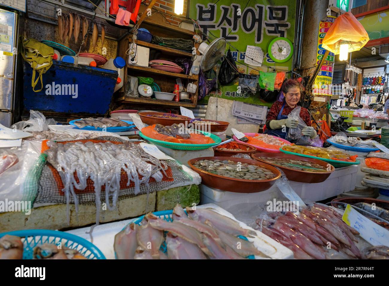 Busan, Corea del Sud - 26 maggio 2023: Una donna che vende pesce al mercato di Gukje o al mercato internazionale nel distretto di nampodong a Busan, Corea del Sud Foto Stock