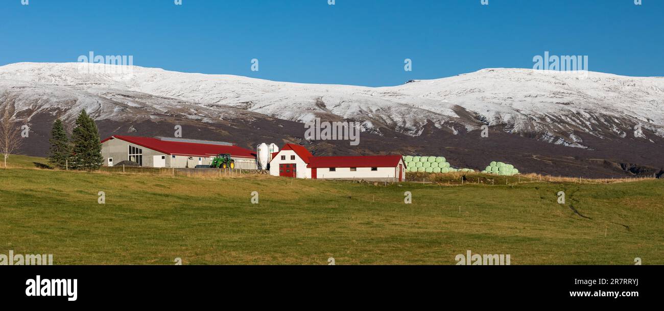 Laugarvatn, Sudurland, Islanda Foto Stock