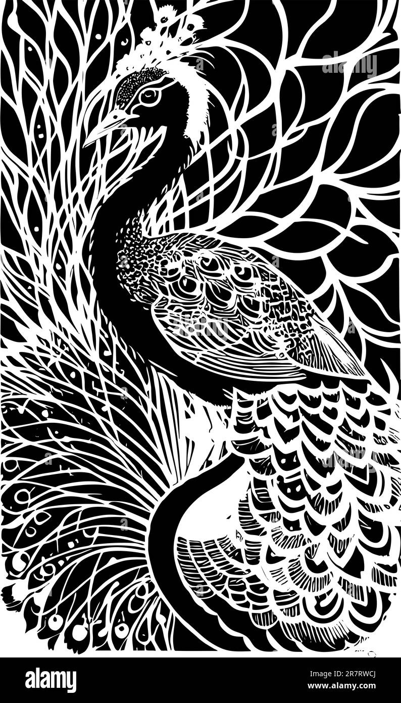 disegno bianco stilizzato di contorno di un pavone su sfondo nero, grafica monocromatica, design Foto Stock