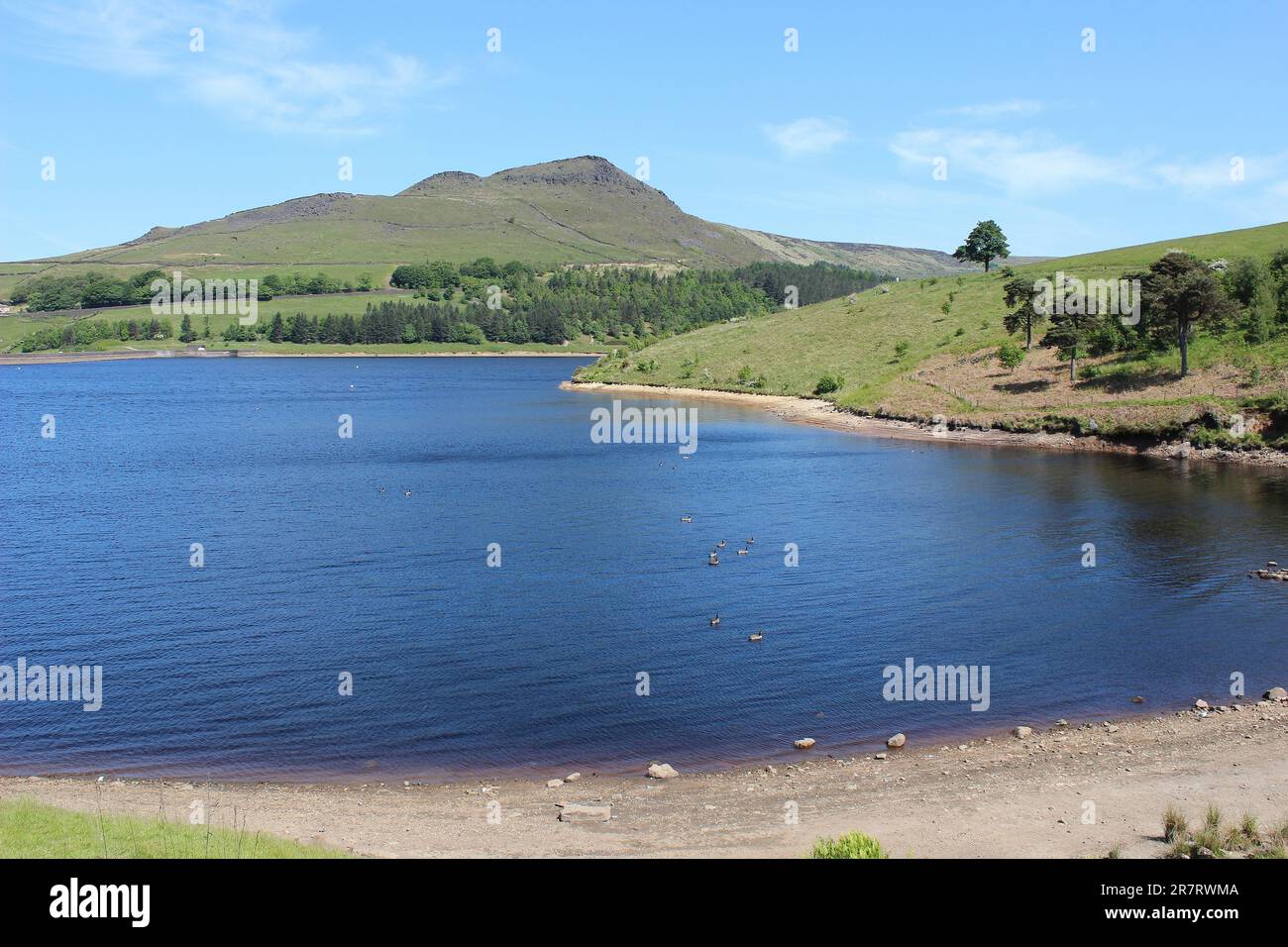 Riserva di RSPB di Dove Stone, Peak District, Regno Unito Foto Stock