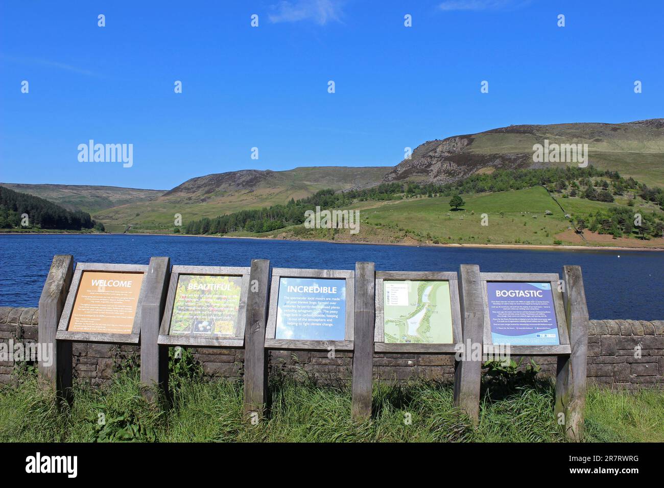 Riserva di RSPB di Dove Stone, Peak District, Regno Unito Foto Stock